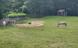 Offroad safari Dvůr Králkové