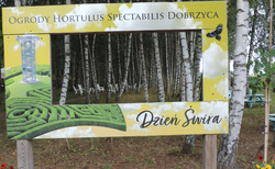 Ogrody Hortulus Spectabilis Dobrzyca