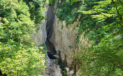 Škocjanske jame - východ Velika dolina