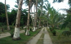 Cesta do Mahambo - areál hotelu La Pirogue