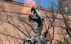 Krakov - Wawelský drak