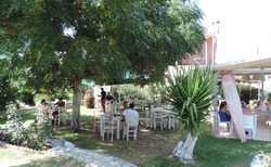 Tsoukalades - vynikající taverna Psaropoula