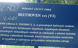 Penzion Benátky - vrt Bethoven V-7