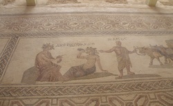 Paphos - archeologické místo - mozaiky - Dionysova vila