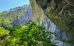 Škocjanske jame - východ Velika dolina