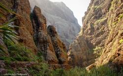 Pohled na hory Masca kaňonu z jeho dna
