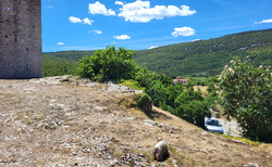 Hrastovlje