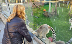 Malkia Park Orechová Potoň