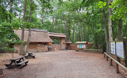 Wolinski Park Narodowy