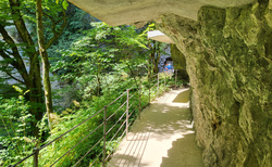 Škocjanske jame - východ Velika dolina