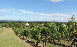 Zalakaros - vinařský vláček - panoramata