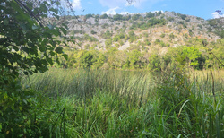 Brljansko jezero