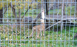 Malkia Park Orechová Potoň