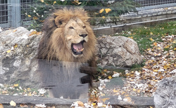 Malkia Park Orechová Potoň