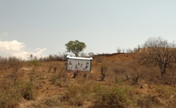 Hrobky mezi Sakaraha a Toliara
