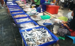rybí trh