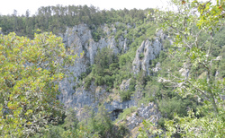 Škocjan - Velika dolina