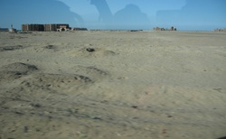 poušť