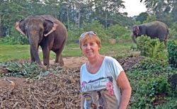 Sloní útulky jsou po celém Thajsku, bohužel se k nim ne vždy chovají dobře