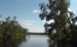 Canal Pangalanes