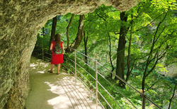 Škocjanske jame - východ Velika dolina