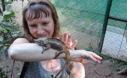 Rezervace Vakona - Krokodýlí farma - chameleoni