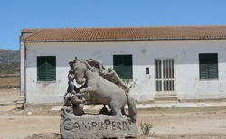 Asinara - Campu Perdu s oslikama