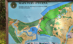 Wapnica - mapa oblasti
