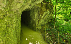 Škocjanske jame - východ Velika dolina