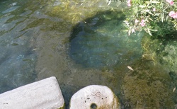 Pamukkale - Antické lázně