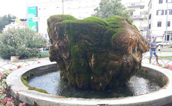 Šibenik - Perivoj Luje Maruna  - fontána se želvami