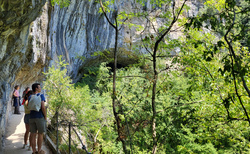 Škocjanske jame - východ Velika dolina