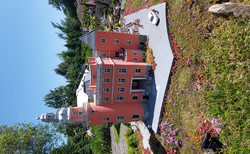 Muzeum