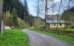Velké Karlovice - údolí nad Penzionem pod Pralesem - 6. května