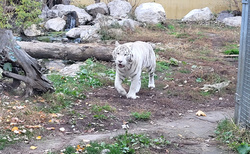 Malkia Park Orechová Potoň