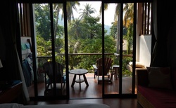Pohled z apartmánu na balkon, pohled z balkonu jak do botanické zahrady