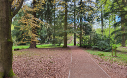 Hruboskalsko - Arboretum