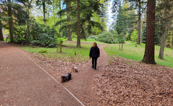 Hruboskalsko - Arboretum